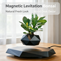 Pot de plante en ABS à lévitation magnétique, pot flottant rotatif, design minimaliste, cadeau créatif unique, décoration d'intérieur pour bonsaï