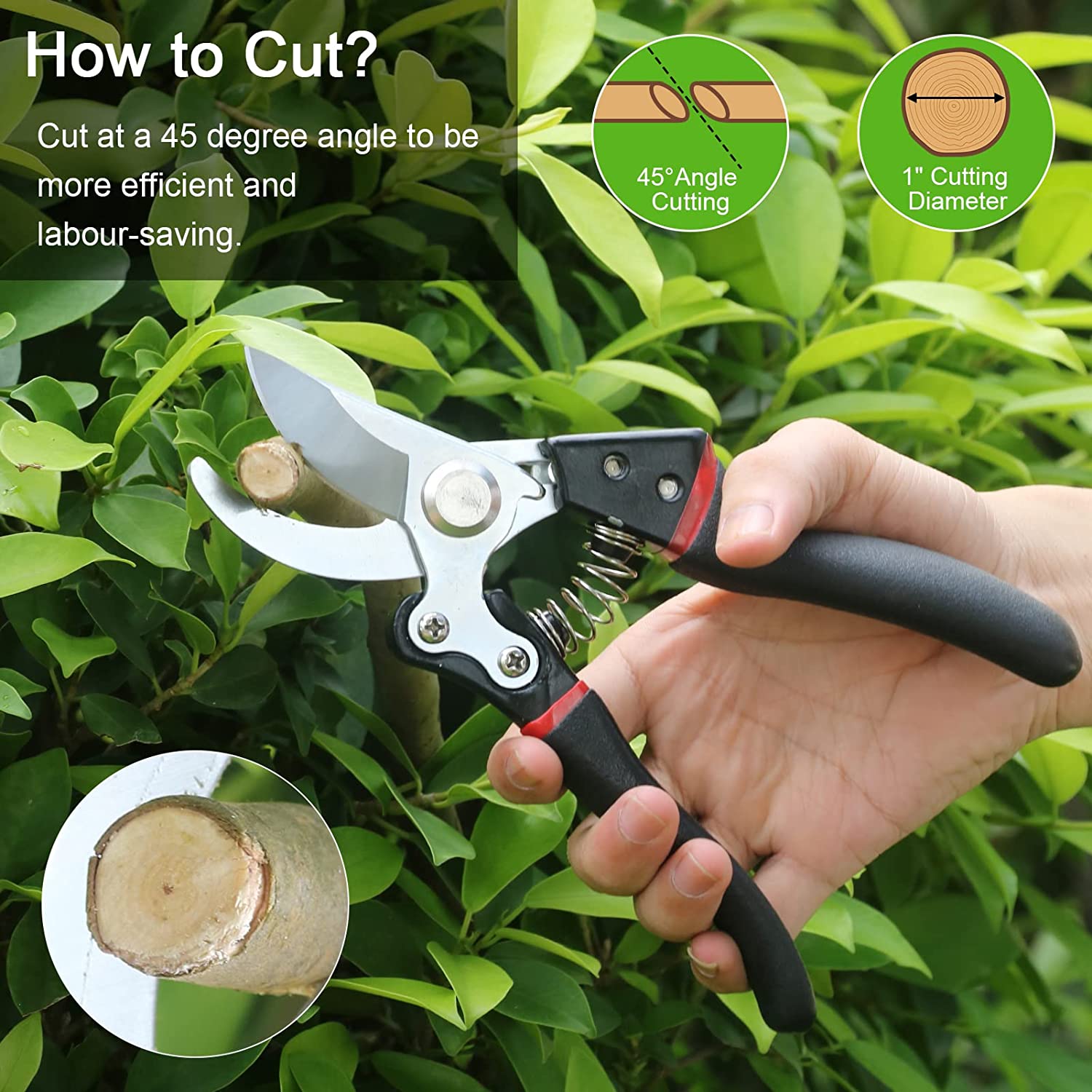 Bonsai Tools Kit - 15 Pcs Garden Tools Mini Set for Planting