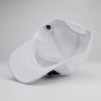 Hoge kwaliteit vintage buckram gestructureerde terry cap met geborduurd fruitlogo, gebogen klep, 6 panelen, sport baseball cap