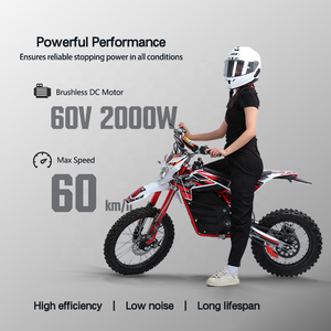 Bicicleta Eléctrica Todoterreno de Alta Velocidad con Motor sin Escobillas de 60V 2000W para Ciudad y Montaña, Entrega Rápida - Product Image 2