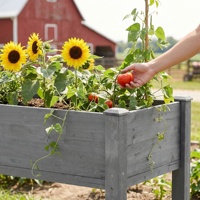 Bac à légumes surélevé avec pieds, jardinière en bois surélevée pour plantes d'extérieur, fleurs, fruits, légumes et herbes aromatiques