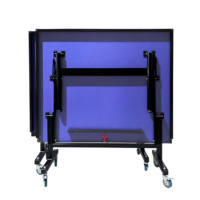 Prix de vente en gros Double Cloud certification ITTF table de ping-pong pliable intérieure ITTF pour l'entraînement