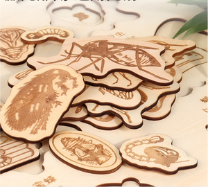 Cartes en bois sur les animaux et les plantes, tableau <span class=keywords><strong>du</strong></span> cycle <span class=keywords><strong>de</strong></span> vie, jouets en bois, puzzle, démonstration <span class=keywords><strong>de</strong></span> l'<span class=keywords><strong>histoire</strong></span> <span class=keywords><strong>de</strong></span> vie des animaux - Product Image 4