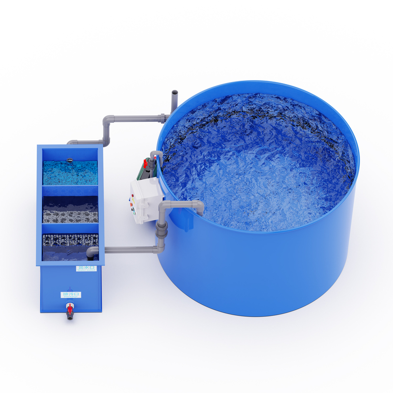 Integrated RAS Filter Equipment for Shrimp