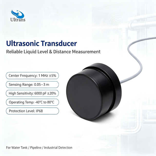1 MHz Customized Underwater Acoustic Ultrasonic Transducer for Flow Rate Current Velocity