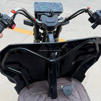 Tricycle Électrique 60V en Acier, Moteur Brushless 1000W, Batterie Plomb-Acide, 3 Vitesses, Carrosserie Ouverte, Transport de Marchandises, Garantie 3 Ans