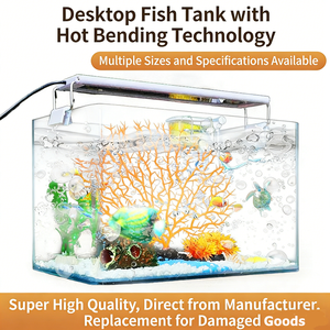 Acuario Rectangular Ecológico de Vidrio HD Curvado en Caliente, <span class=keywords><strong>Precio</strong></span> de Fábrica, para Peces Dorados, Bettas, <span class=keywords><strong>Guppys</strong></span>, Tortugas, para Escritorio o Sala de Estar - Product Image 4