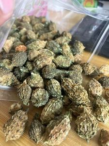 Hoang Dã mướp đắng toàn bộ Momordica Charantia L. Var. Viết Tắt seringe trái cây sấy khô để bán - Product Image 3