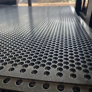 Hojas de metal perforadas/placa de acero inoxidable perforada/placa de malla metálica de acero inoxidable 304 para Decoración