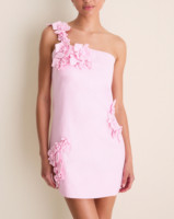 Robe courte rose asymétrique pour femme avec appliques florales 3D, coupe trapèze, sans manches, tissée, pour invitée de mariage printemps-automne