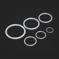 EASILIFE Joint torique en silicone transparent de qualité alimentaire pour étanchéité sanitaire