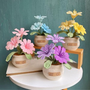 Macetas de Flores Tejidas a Crochet al por Mayor, Hechas a Mano, para Suculentas, Regalos para Boutiques Minoristas - Product Image 1