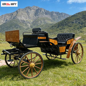 Calèche de mariage de luxe à chevaux avec éclairage LED pour extérieur et Noël, idéale pour les excursions - Product Image 2