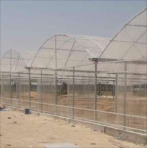 <span class=keywords><strong>Plaque</strong></span> en <span class=keywords><strong>polycarbonate</strong></span> massif personnalisable <span class=keywords><strong>de</strong></span> haute qualité, 5-8 mm, résistante aux UV, givrée, pour les grandes constructions agricoles multi-voûtes - Product Image 4