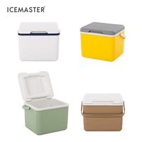 IceMaster 5L 미니 휴대용 시원한 온도 보냉 보온 소형 휴대용 플라스틱 비치 음료 쿨러