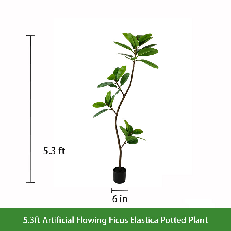 5.3ft