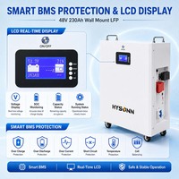 Batterie de stockage domestique basse tension Hysonn 11,77 kWh 48 V 230 Ah murale LFP pour projets d'installation et support de marquage OEM/ODM