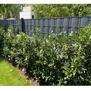 <span class=keywords><strong>Grillage</strong></span> de jardin en plastique de taille personnalisée en gros Clôture en <span class=keywords><strong>bande</strong></span> en <span class=keywords><strong>PVC</strong></span> dur <span class=keywords><strong>pour</strong></span> l'extérieur - Product Image 6
