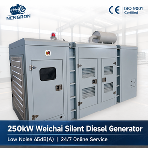 Générateur DC Nengron 200kW au gaz synthétique/gaz naturel 6CTA Leroy-Somer 380V 24V DC Démarrage électrique IP67 Aéroport Hôpital CE EPA ISO - Product Image 3