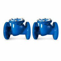 Clapet anti-retour à bride en fonte ductile PN16, type oscillant, pour pompe à eau et ligne de protection incendie