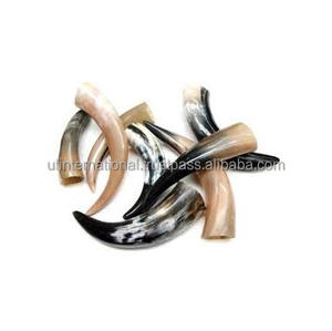Reasonable Price Drinking <b>Horn</b> with Customized Size Bast Natural <b>Horn</b> Color <b>Buffalo</b> <b>Horn</b> Hand Made Polish Low Price - Product Image 4