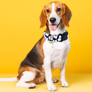 Nettes Hunde halsband mit Blumen zauber Marineblau verstellbares Haustier halsband mit Blumenmuster für weibliche männliche kleine mittelgroße Hunde - Product Image 4