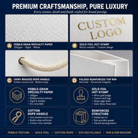 Sac en papier personnalisé de luxe avec logo en feuille d'or, mat, gaufré, laminé, grand, moyen, blanc, solide, pour magasin de vêtements, sac de shopping