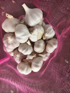 Tüm satış beyaz sarımsak/sarımsak/hint sarımsak 2025 - Product Image 6