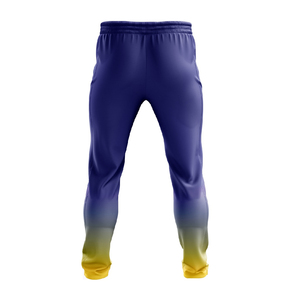 Men Two Tone Gradient <b>Training</b> Pants Elastic Waist Slim Fit Sports <b>Trousers</b> Athletic Running Track Pants Workout - Product Image 3