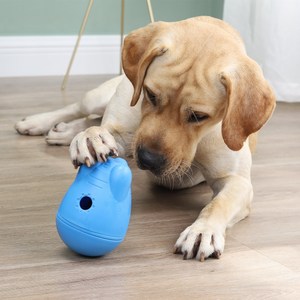 2021 אופנה 12 חבילות עמיד רחיץ כלב ללעוס אינטראקטיבי כותנה חבל צעצוע סט - Product Image 4