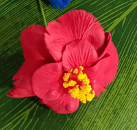 Hibiscus – Tiare en mousse Eva KN-hf075s pour cheveux, fleurs hawaïennes, pour Hula Girl, soirée dansante, guirlande florale quotidienne, nouvelle couche