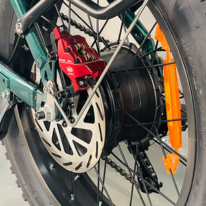 Ridstar Q20 48V 20Ah Bicicleta Eléctrica de Cross con <span class=keywords><strong>Sidecar</strong></span>, Neumático Gordo, Híbrida de Carga para Adultos y Entrega de Alimentos - Product Image 4