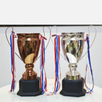 Trophées personnalisés, médailles, plaques, trophée de la Ligue des Champions de football, grande coupe en métal pour les sports, coupe de jeu, trophée de football