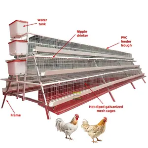 2022ชนิดใหม่จุ่มร้อนชุบสังกะสีอัตโนมัติอย่างเต็มที่ H ประเภทกรงไก่ระบบสำหรับชั้นไก่