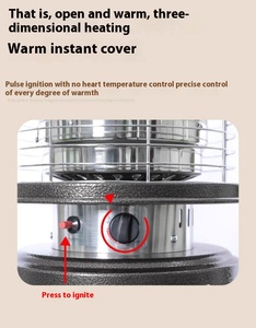 Stufa a <span class=keywords><strong>Gas</strong></span> da Esterno FL003 per Villa, Hotel, Patio, Braciere, Cortile e Guesthouse - Stufa in Acciaio Inox con Fiamma Reale e Acrilico - Product Image 5