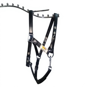 Harnais de cheval en cuir noir réglable avec ferrures métalliques, mentonnière réglable et rembourrage en néoprène, fabriqué à Kanpur, Inde - Product Image 1