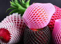 Meilleur vente en gros bas prix bouteille biodégradable fruits papaye protecteur mousse manchon net