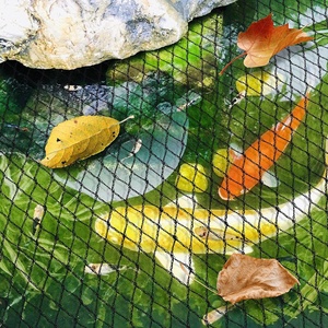 Jardín estabilizado UV 10*10 <span class=keywords><strong>malla</strong></span> estanque de peces cubierta de red Red de piscina Red de pájaros para la venta - Product Image 1