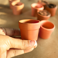 Ensemble de 12 pots en terre cuite miniatures biodégradables et écologiques faits à la main pour la germination de graines de plantes succulentes, de cactus et d'herbes aromatiques en intérieur