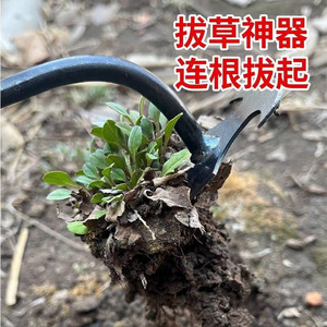 เครื่องมือกำจัดวัชพืชสแตนเลสแบบส้อม สำหรับทำสวนในบ้าน สีดำ - Product Image 3