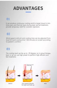 Système de refroidissement de la peau au laser Système de refroidissement de la peau à air froid Machine de refroidissement de la peau au laser pour le traitement au laser picoseconde - Product Image 3