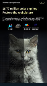 2025 Nieuwe H5 Projector Videoprojector Outdoor Films Met 5G Wifi En Bt 4K Mini Film Home Theater Video H5 Projector - Product Image 5