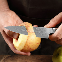 Ensemble de couteaux à fruits en acier Damas, manche en bois coloré, couteaux à éplucher et à steak, design moderne minimaliste forgé, angle de la pointe de la lame de 14,5 cm