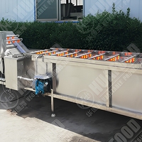 Commerciële fruitwas- en drooglijn, automatische salade reinigings- en verwerkingslijn, industriële bubbelwasmachine met luchtdroger