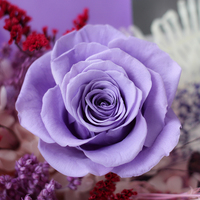 Lovebay Bestseller Konservierte Echte Blume Lila Rosen Für Frauen Geschenk Ewiger Blumenstrauß Für immer Konservierter Blumenstrauß