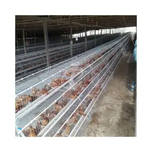 Batería capa de pollo gallina jaula de Metal 100 pájaros venta para Pakistán granja capa pollos 10000 pájaros