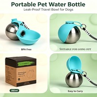 Meilleure Vente Super Design Bouteille d'Eau 2-en-1 pour Chien 280ml en Acier Inoxydable 9.47fl.oz pour Animaux de Compagnie Portable ODM