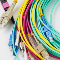 Harga Pabrik OEM ODM G657A1 12Core Bundle Kabel Serat Optik Pigtail SC/LC/FC/ST/APC/UPC Simplex 9/125 1.5M LSZH/PVC Jacket FTTH