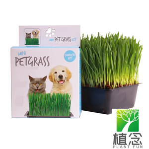 Vente en gros Kit d'herbe à chat biologique Remède naturel pour le contrôle de la digestion Planteur de chat blanc pour <span class=keywords><strong>chats</strong></span> et chiens pour le <span class=keywords><strong>jardin</strong></span> - Product Image 5