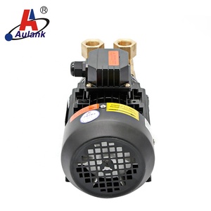 200 Degree High Temperature Oil Pump - Product Image 2